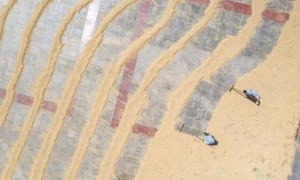 半月谈：一些基层乡镇政府为何“门难进”